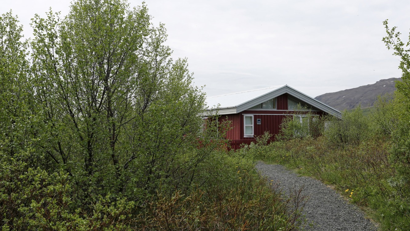Midhusaskogur_05.jpg