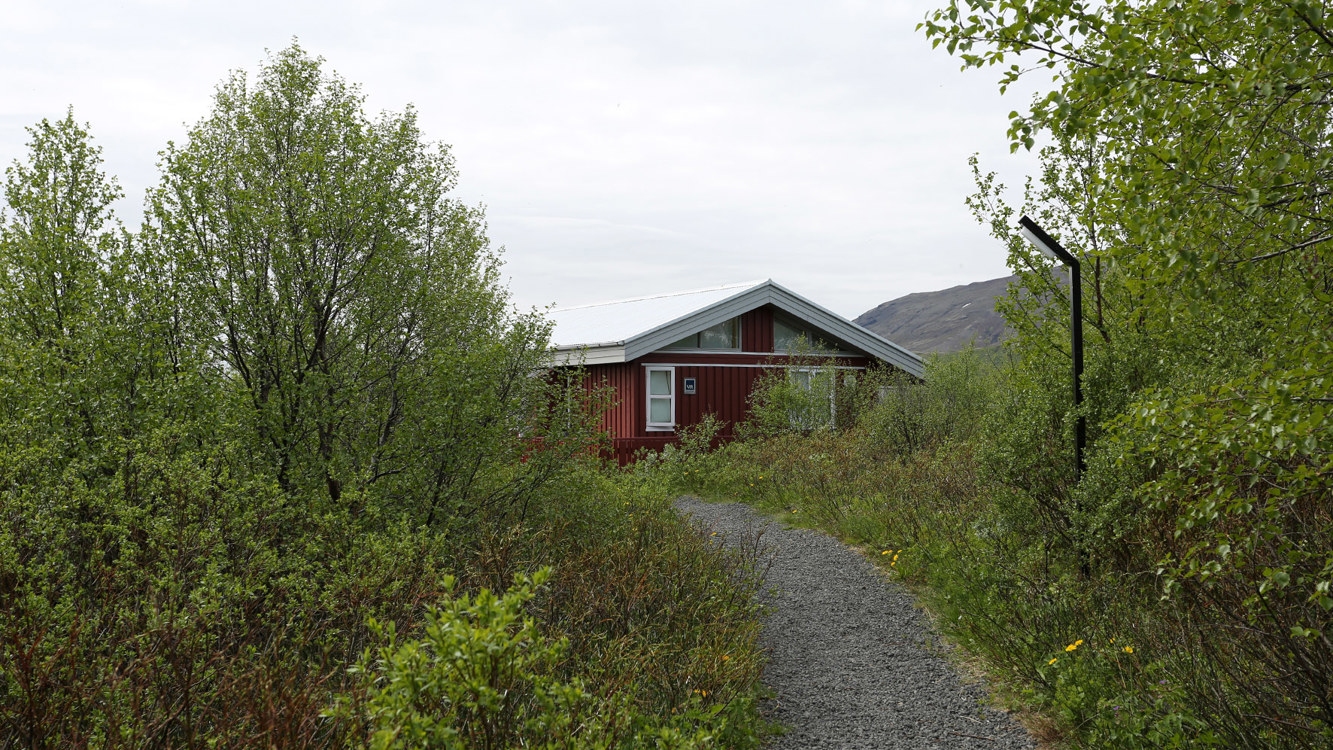 Midhusaskogur_02.jpg